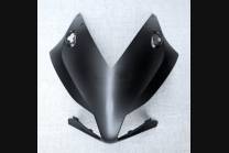 ABSVerkleidungen Komplet und lackierten HND CBR 1 C BLFM 2