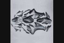 Carene in abs complete e verniciate HND CBR 1 C BLFM