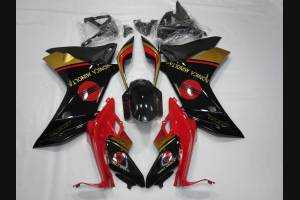 Complete and painted fairings in abs HND CBR 6CF RDR 