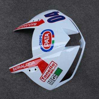 Complete and painted fairings in abs HND CBR 6 G RPRD 