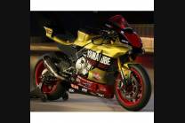 carenado barnizado Yamaha R1 2015 - 2018 YAMR17 ED18