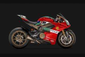 Complete and painted fairings with back seat Neoprene seat DUCV4 DT