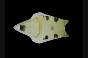 Codone con Sottocodone per R6 08