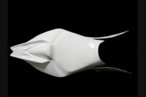 Coque arrière monoplace avec fermée prévue pour recevoir la mousse de selle 2