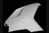 Front fairings without back seat 2