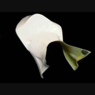Fairings without fender