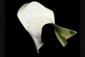 Fairings without fender
