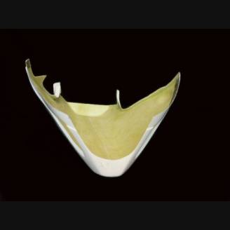 Fairings without fender