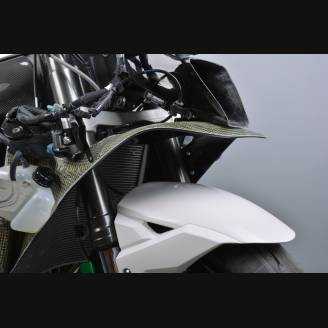 Complete fairing in 5 pieces without front fender