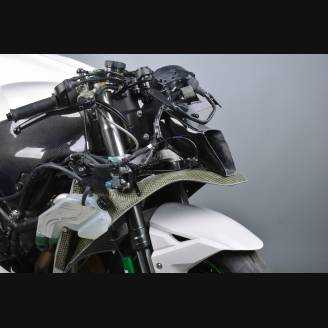 Complete fairing in 5 pieces without front fender