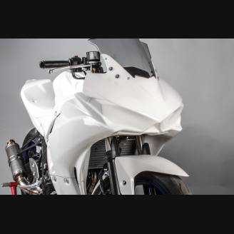 Carene complete senza Parafango Racing Vers.2