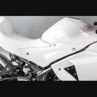 Complete and racing Fairings without Front Fender Vers.2 