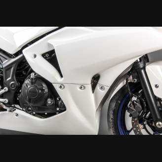 Carene complete senza Parafango Racing Vers.2