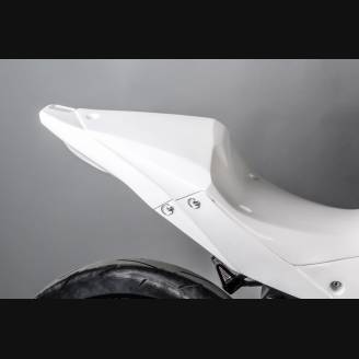 Complete and racing Fairings without Front Fender Vers.2 