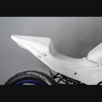 Carene complete senza Parafango Racing Vers.2