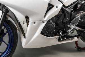 Carene complete senza Parafango Racing Vers.2