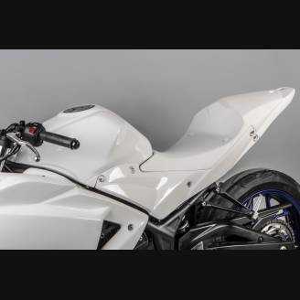 Complete and racing Fairings without Front Fender Vers.2 