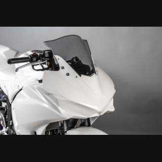 Carene complete senza Parafango Racing Vers.2