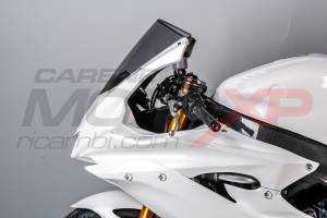 Complete fairings in 5 Pieces without front fender Vs2  Complete fairings in 5 Pieces without front fender Vs2