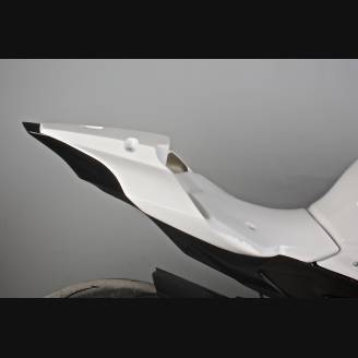 Complete fairing without front fender VS2