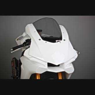 Complete fairing without front fender VS2