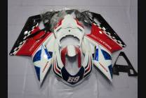 Complete and painted fairings in abs HAYDEN