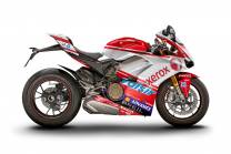 Complete and painted fairings with back seat Neoprene seat DUCV4 DT