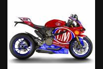 Complete and painted fairings with back seat original seat DUC99LM