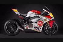 Complete and painted fairings with back seat Neoprene seat DUCV4 DT