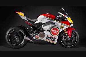 Complete and painted fairings with back seat Neoprene seat DUCV4 DT