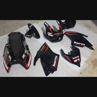 Complete and painted fairings with back seat Neoprene seat DUCV4BR18