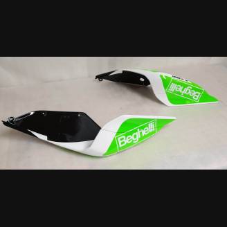 Fairings ABS Lackiert street Ducati 1299 Panigale DUAB 1299 SBLGFL