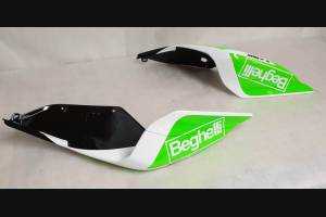 Fairings ABS Lackiert street Ducati 1299 Panigale DUAB 1299 SBLGFL