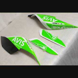 Fairings ABS Lackiert street Ducati 1299 Panigale DUAB 1299 SBLGFL