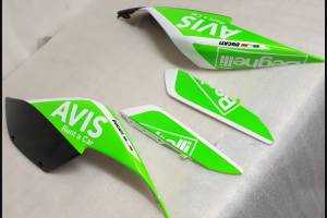 Fairings ABS Lackiert street Ducati 1299 Panigale DUAB 1299 SBLGFL