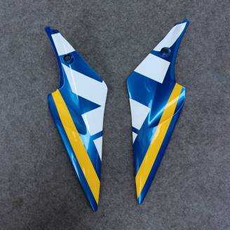 Complete and painted fairings in abs GSX 6T VLT 