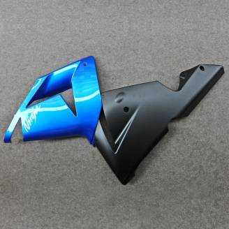 Complete and painted fairings in abs BLW 