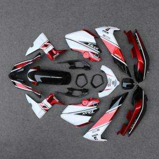 Complete and painted fairings for X Max 400 2013 - 2016 MTS