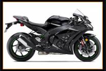 Complete and painted fairings in abs KWT 16 OPC