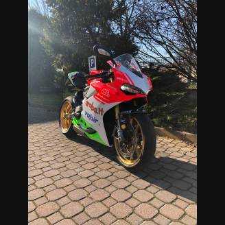 Fairings ABS Lackiert street Ducati 1299 Panigale DUAB 1299 FELGFL