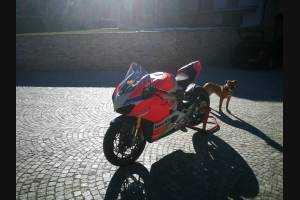 ABS Verkleidung Lackiert street Ducati Panigale V4 Akrapovic Auspuff DUCV4 CSSP