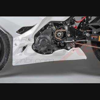 Complete and racing Fairings without Front Fender Vs2 