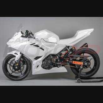 Complete and racing Fairings without Front Fender Vs2 