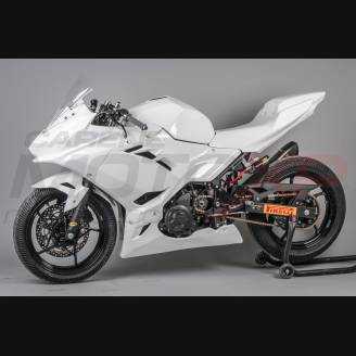 Complete and racing Fairings without Front Fender Vs2 