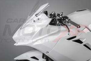 Complete and racing Fairings without Front Fender Vs2 