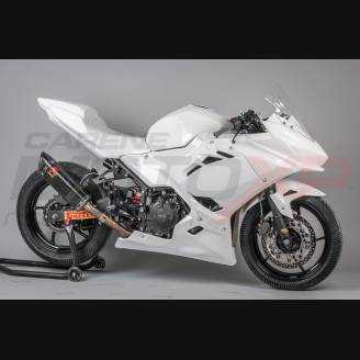 Complete and racing Fairings without Front Fender Vs2 