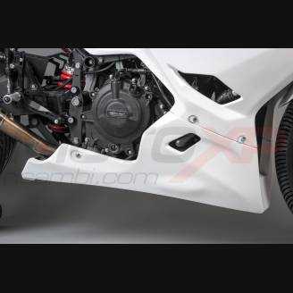 Complete and racing Fairings without Front Fender Vs2 
