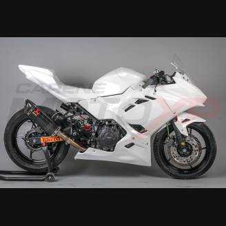 Complete and racing Fairings without Front Fender Vs2 