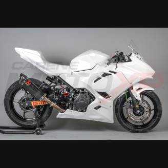 Complete and racing Fairings without Front Fender Vs2 