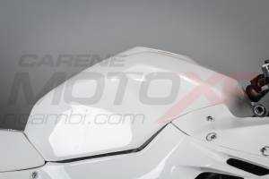 Complete and racing Fairings without Front Fender Vs2 
